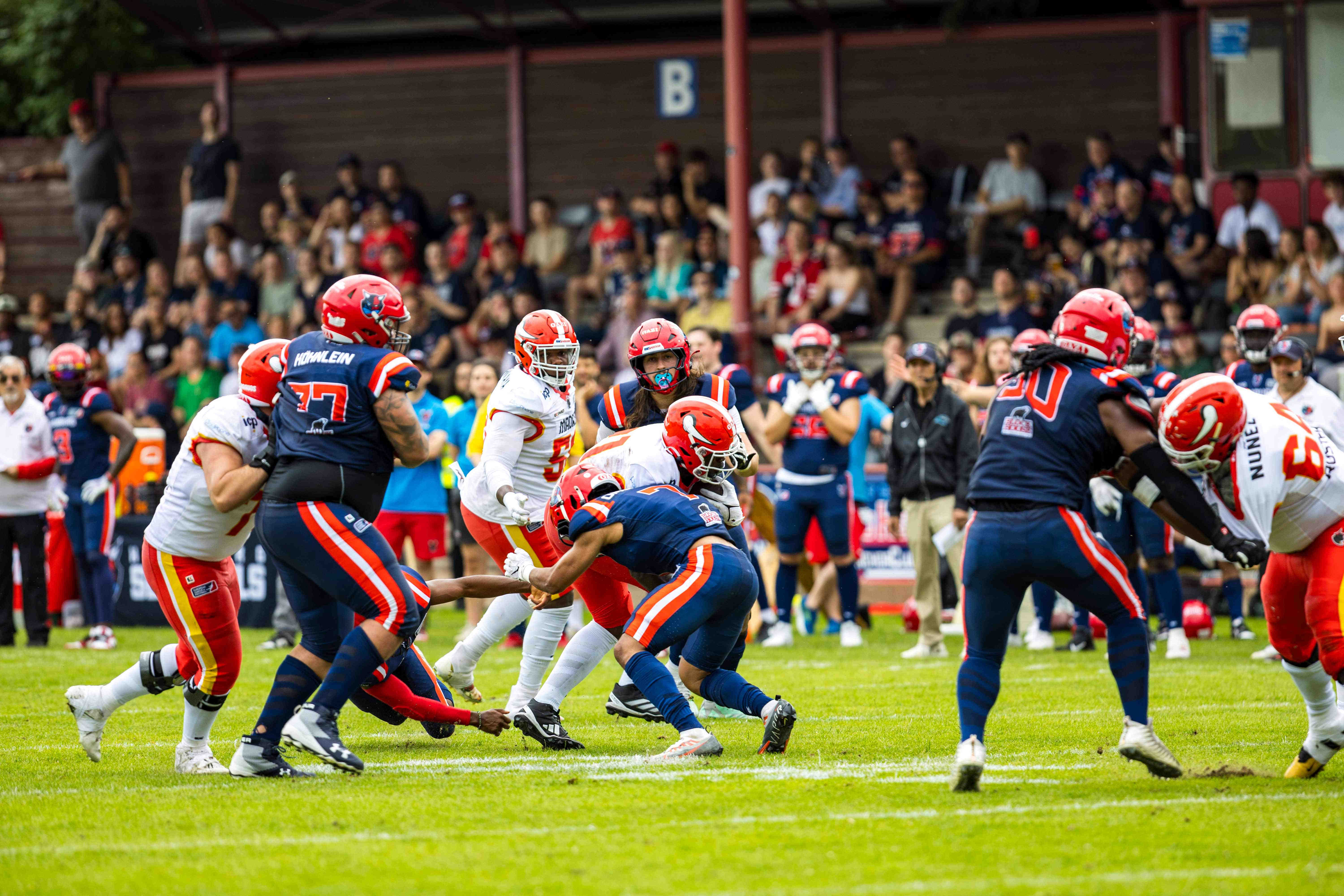 Madrid Bravos vs Hamburg Sea Devils