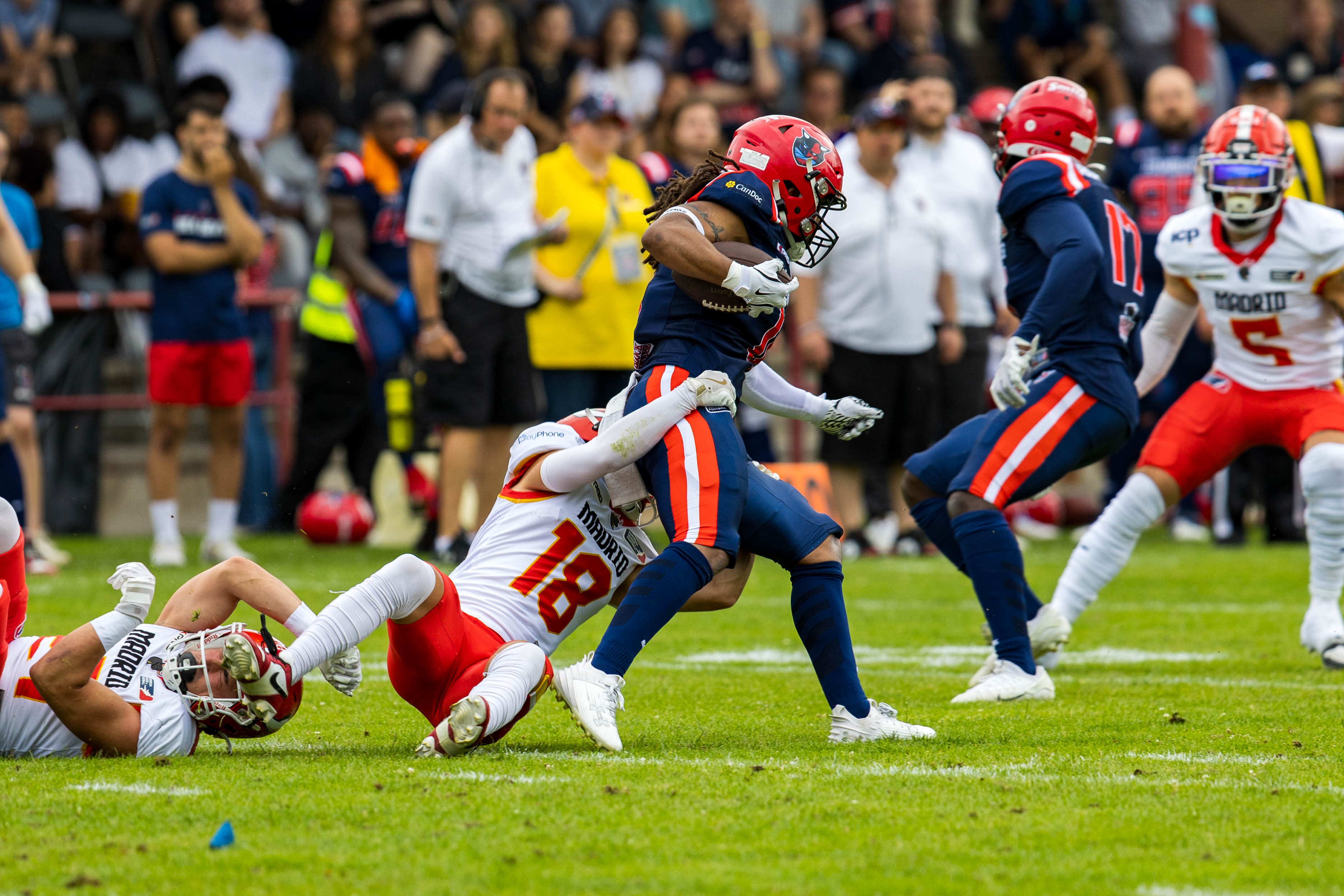 Madrid Bravos vs Hamburg Sea Devils