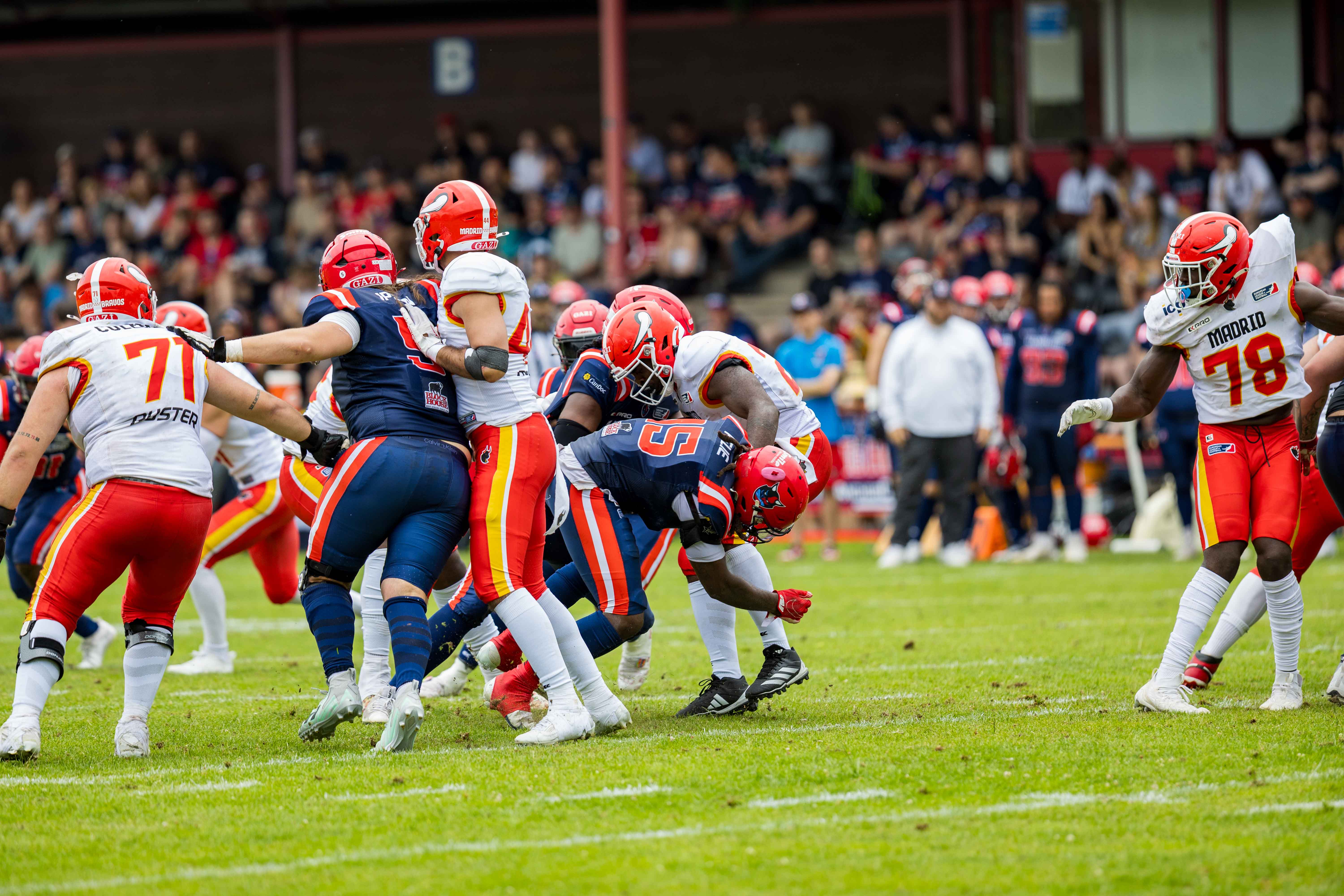Madrid Bravos vs Hamburg Sea Devils