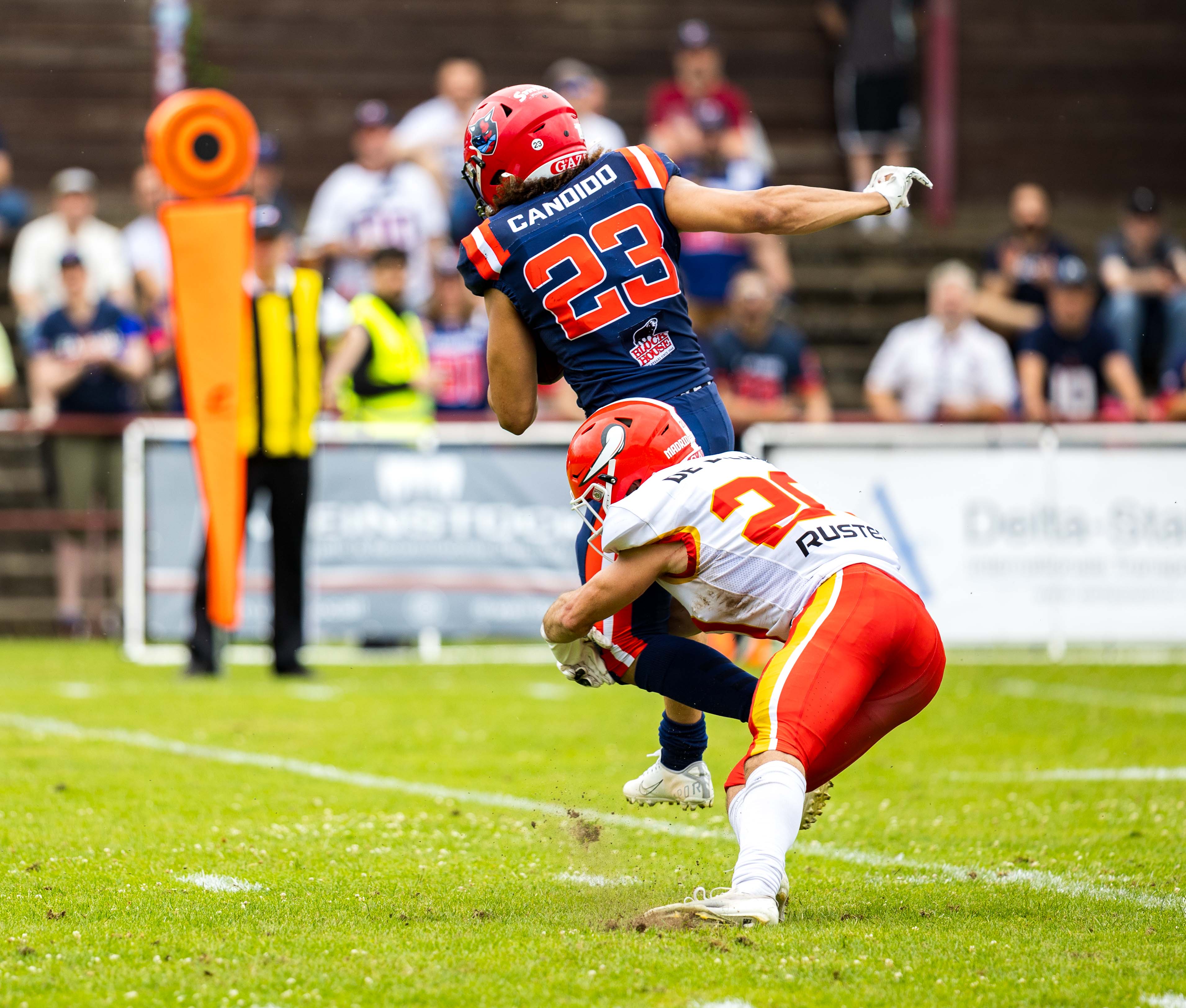Madrid Bravos vs Hamburg Sea Devils