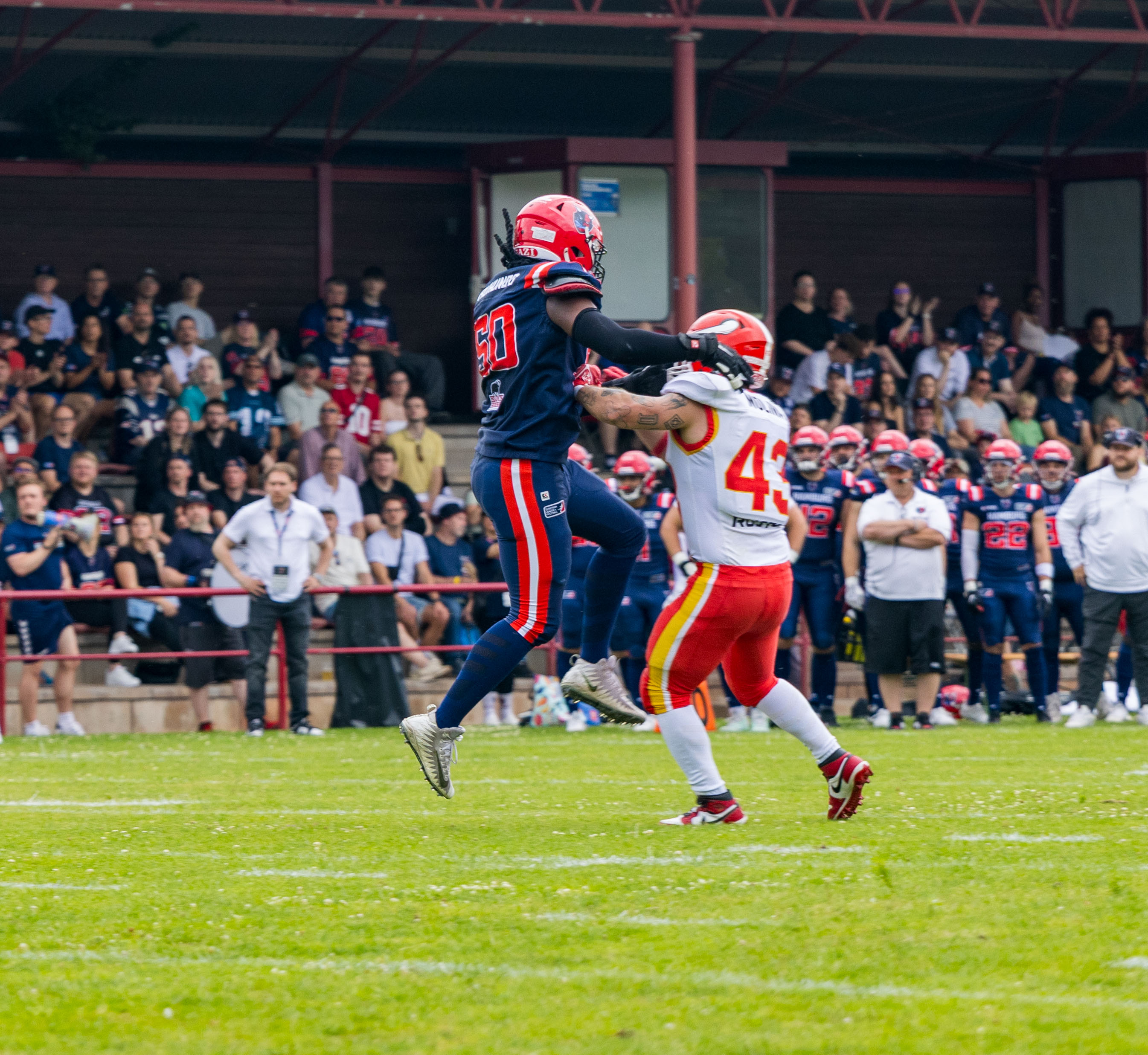 Madrid Bravos vs Hamburg Sea Devils