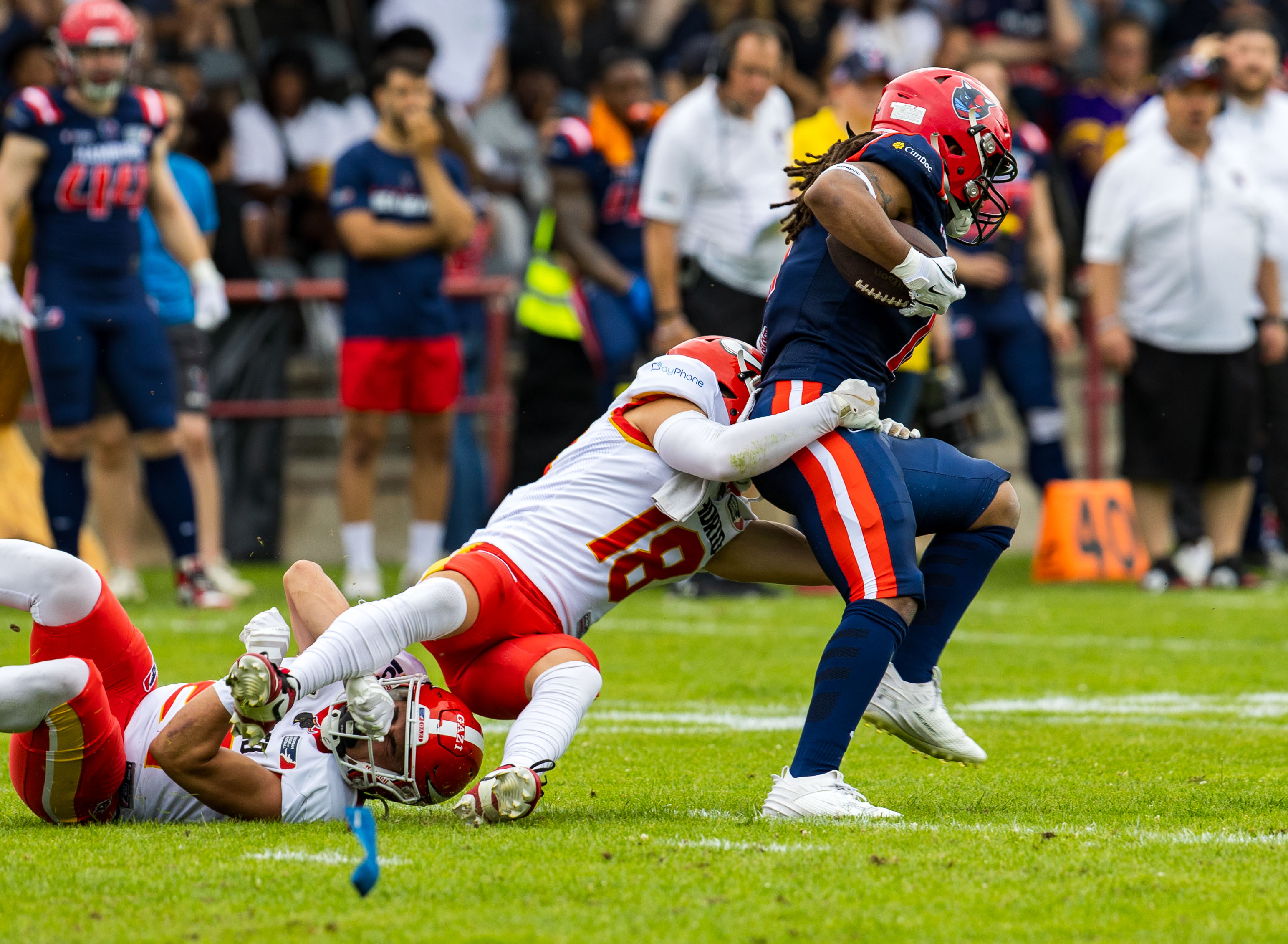 Madrid Bravos vs Hamburg Sea Devils