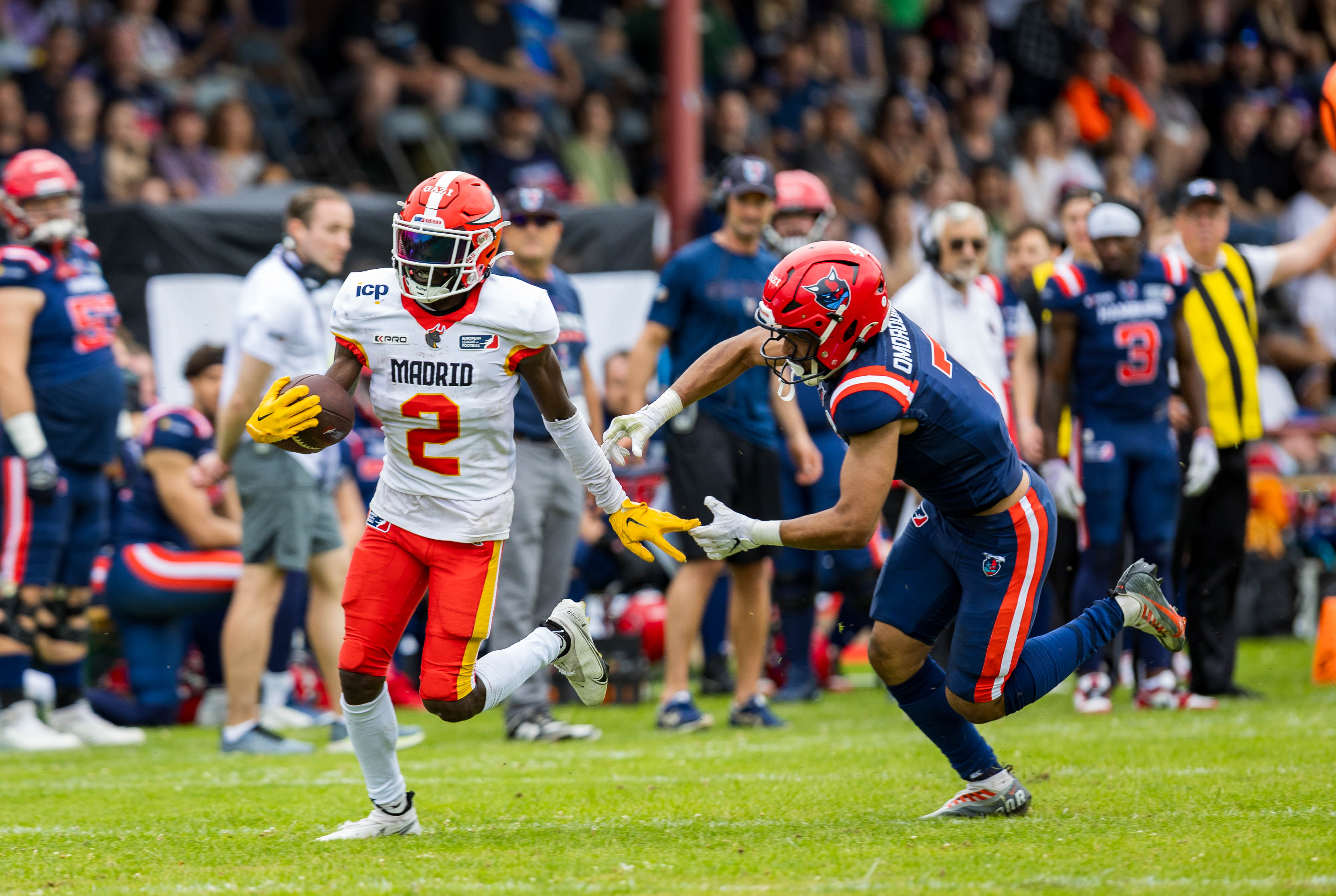 Madrid Bravos vs Hamburg Sea Devils