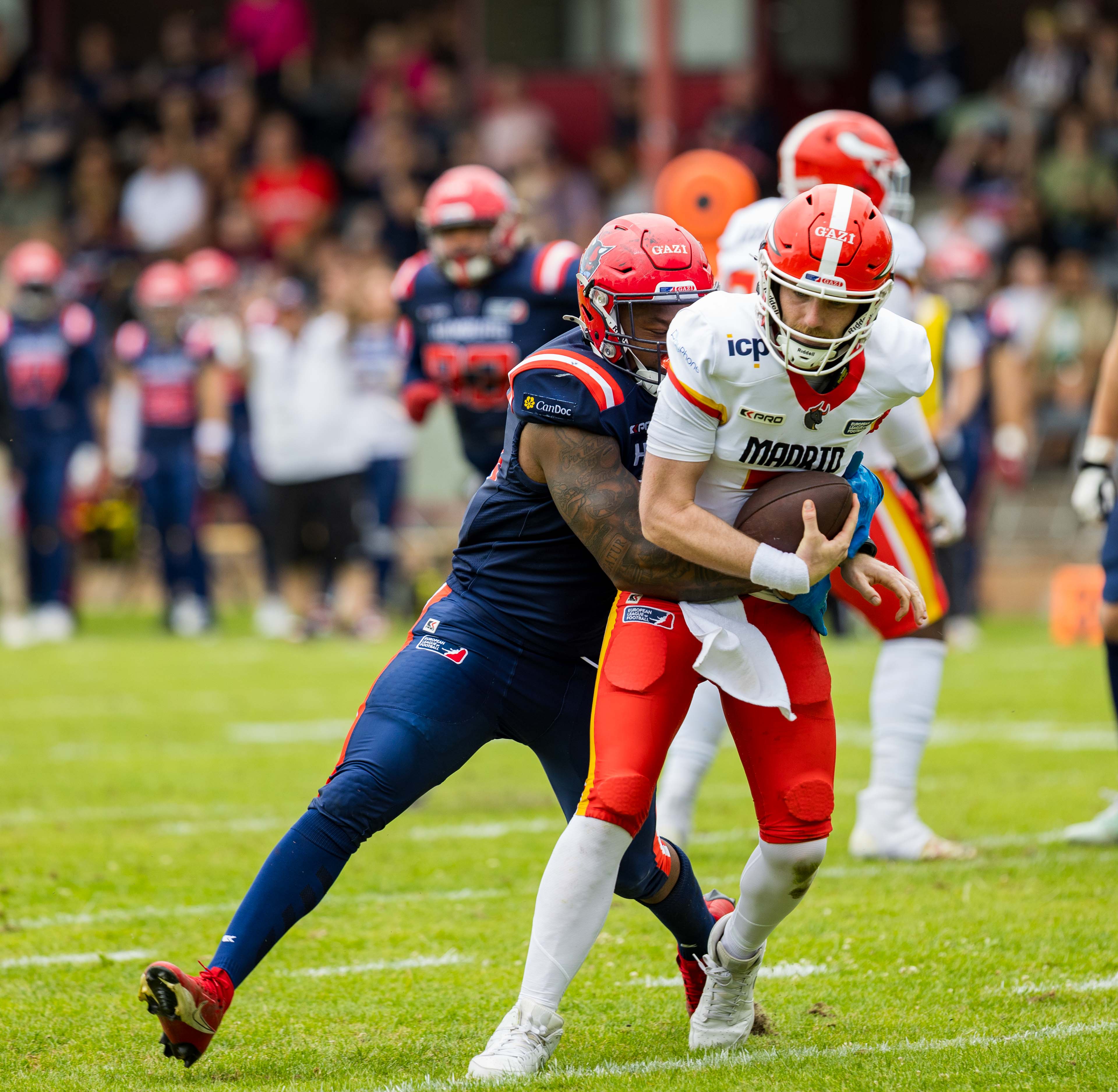 Madrid Bravos vs Hamburg Sea Devils