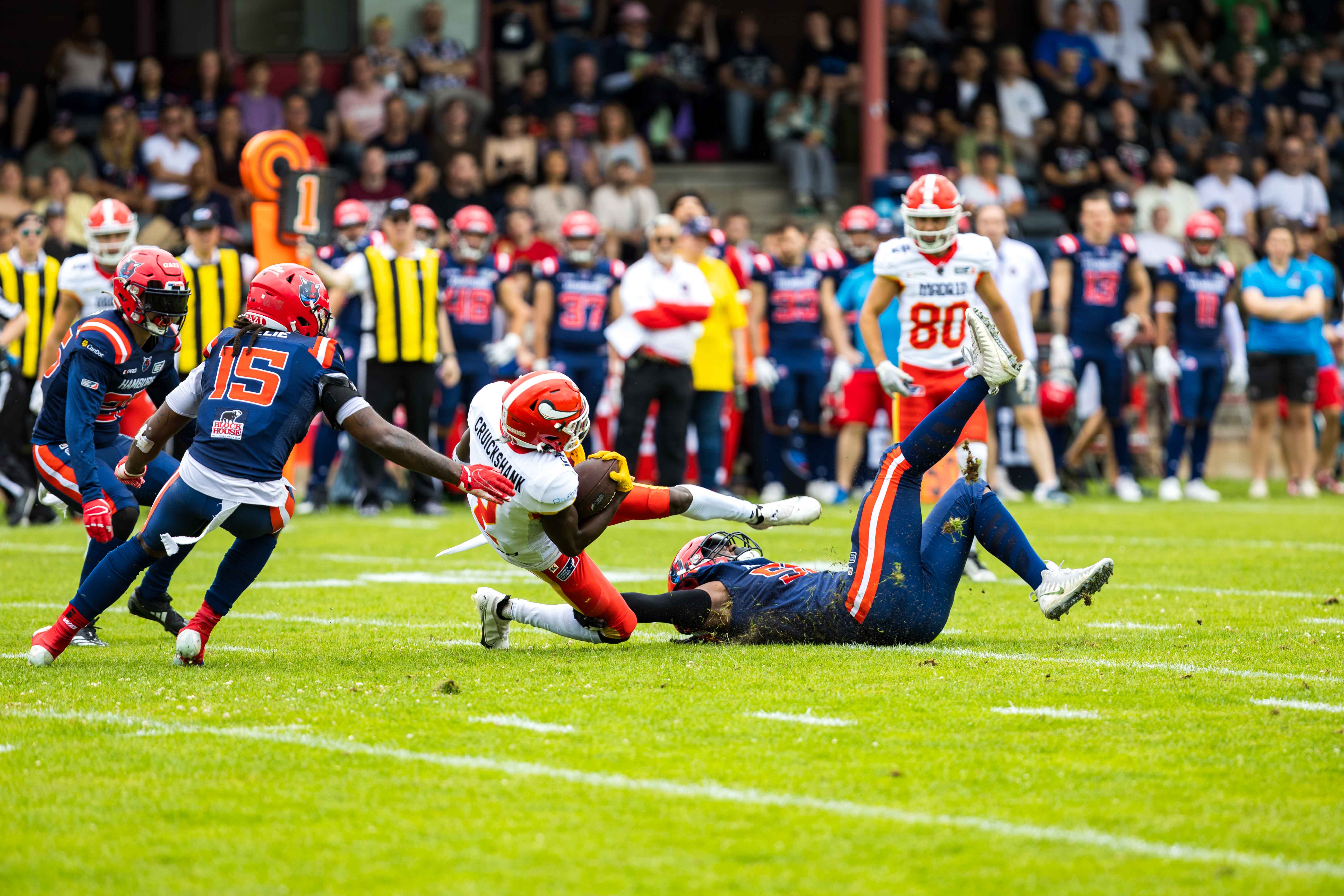 Madrid Bravos vs Hamburg Sea Devils