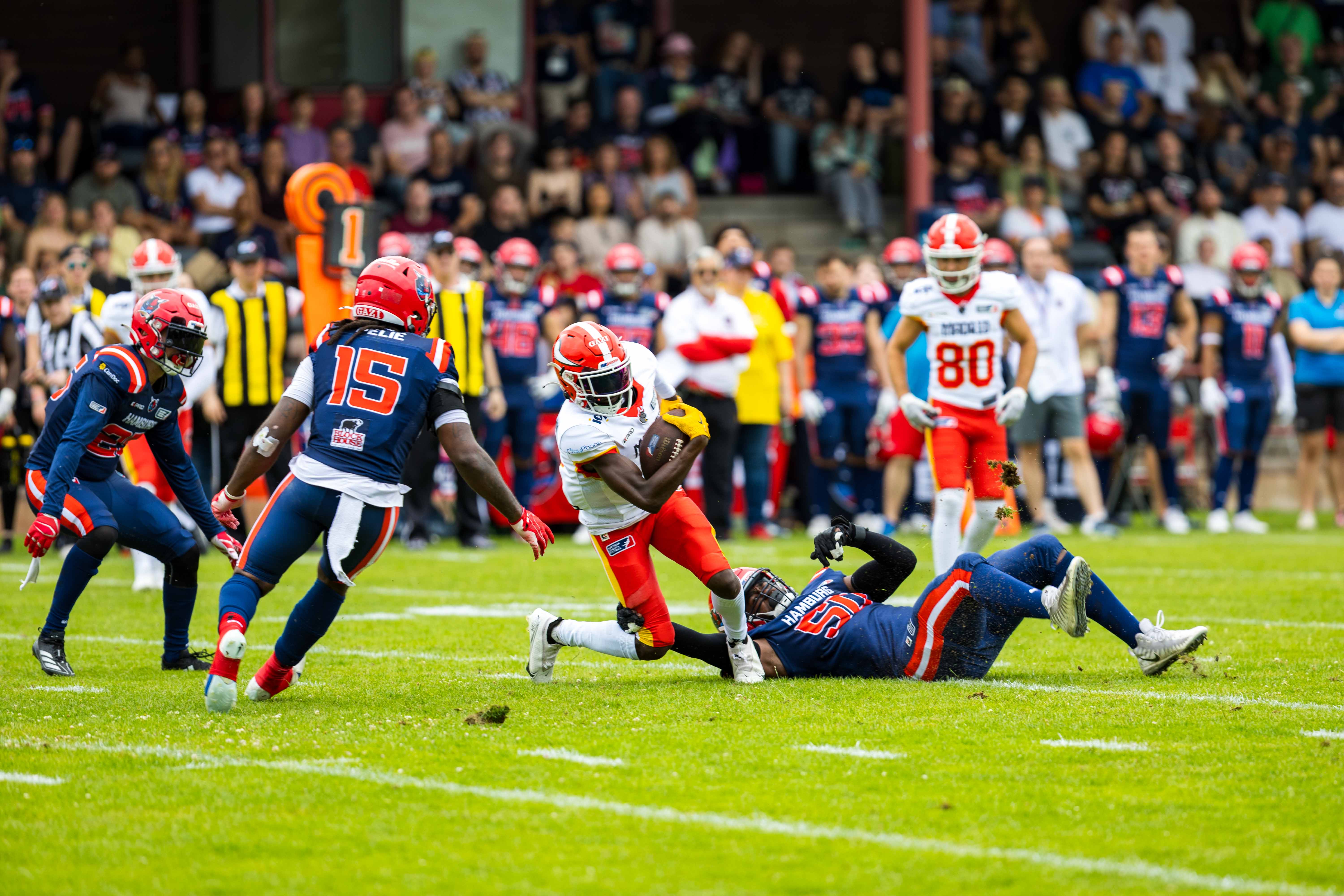 Madrid Bravos vs Hamburg Sea Devils