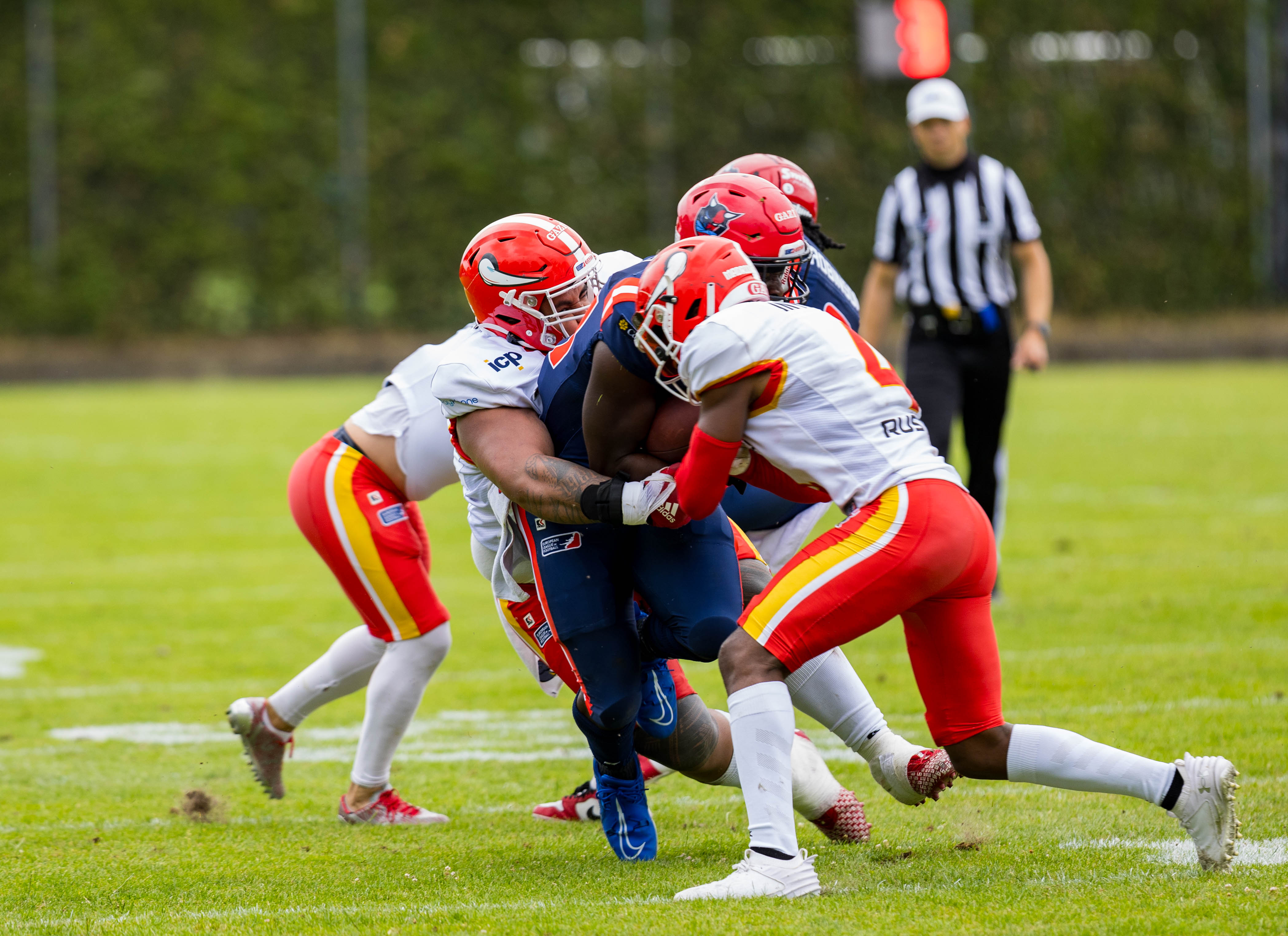 Madrid Bravos vs Hamburg Sea Devils