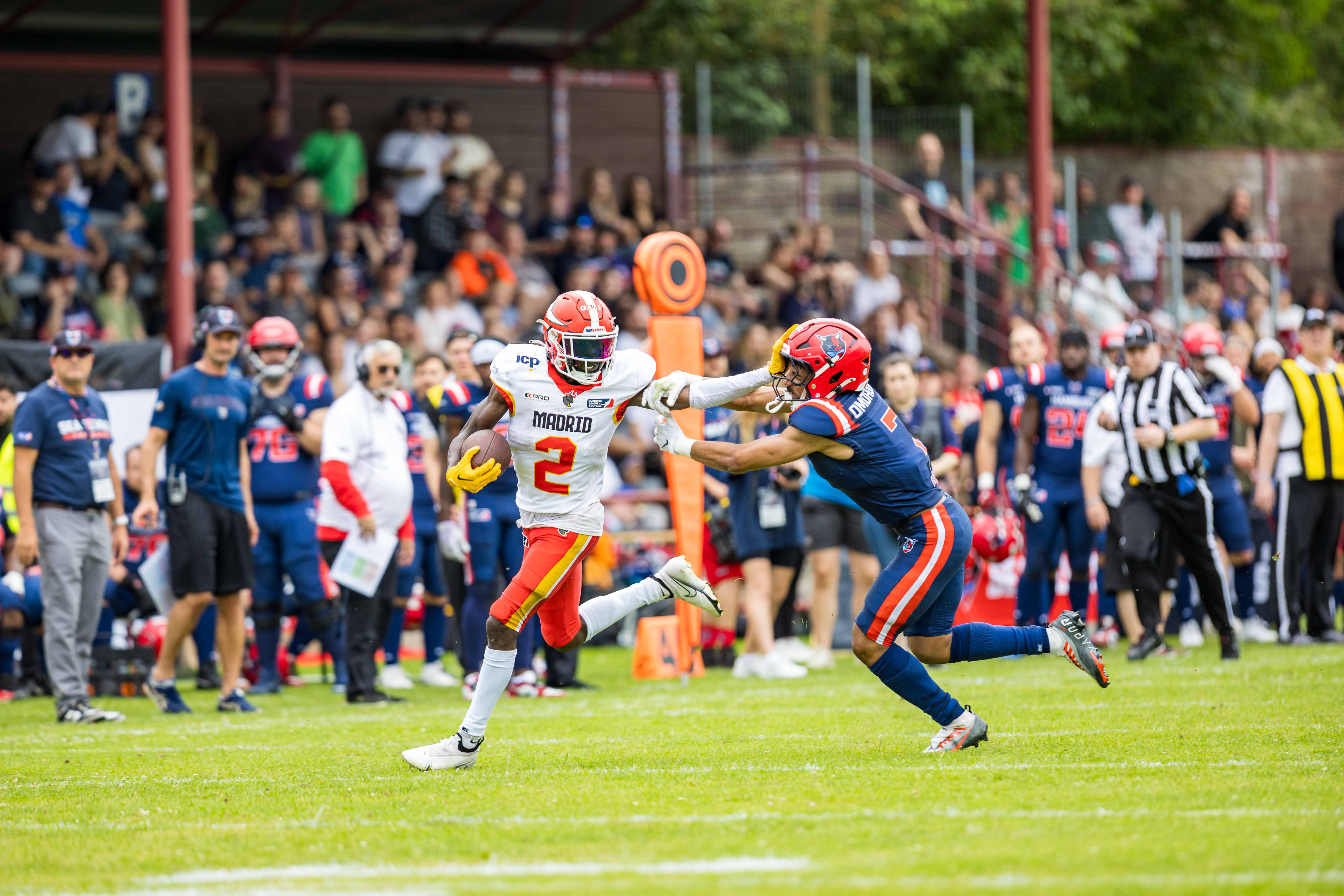 Madrid Bravos vs Hamburg Sea Devils