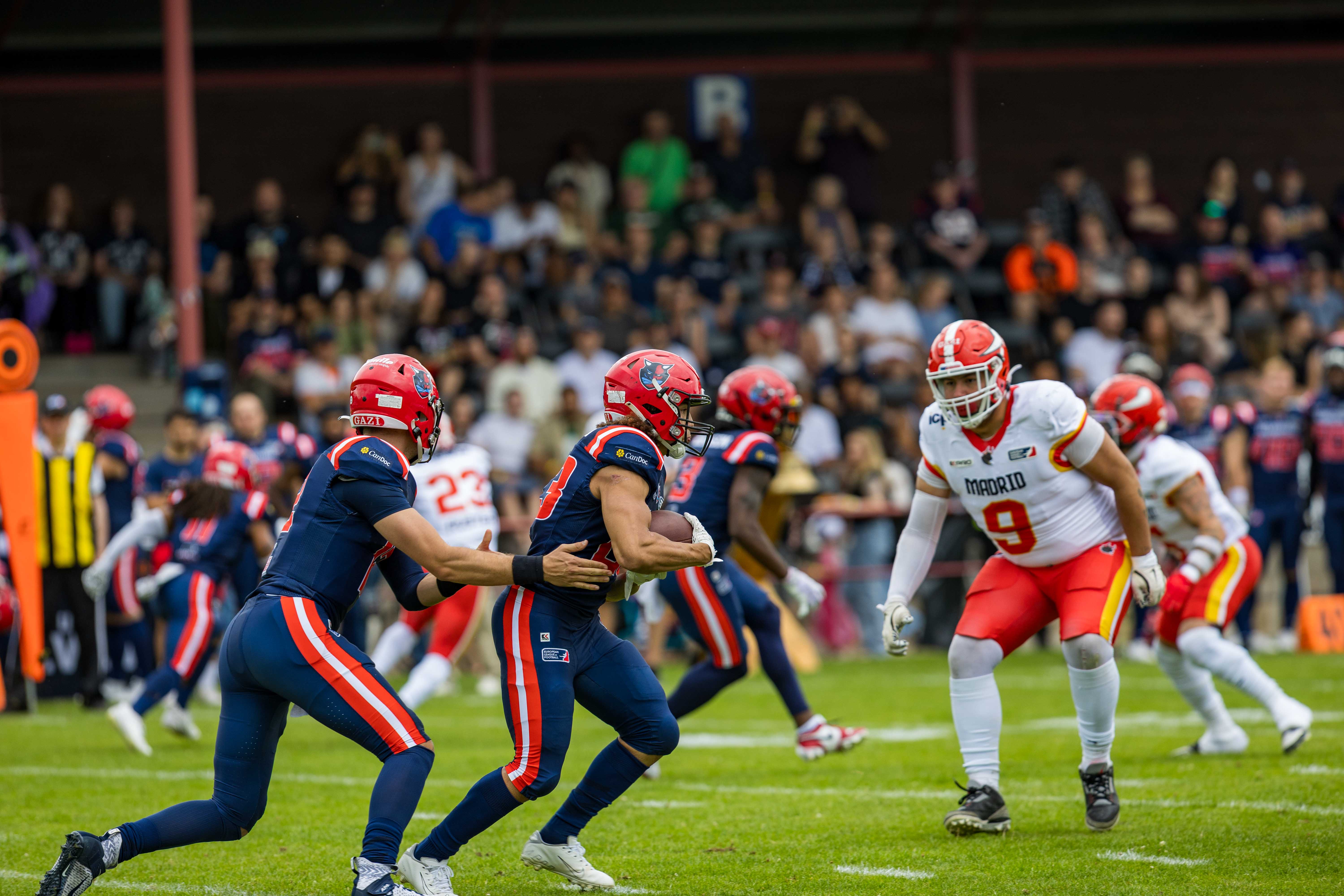Madrid Bravos vs Hamburg Sea Devils