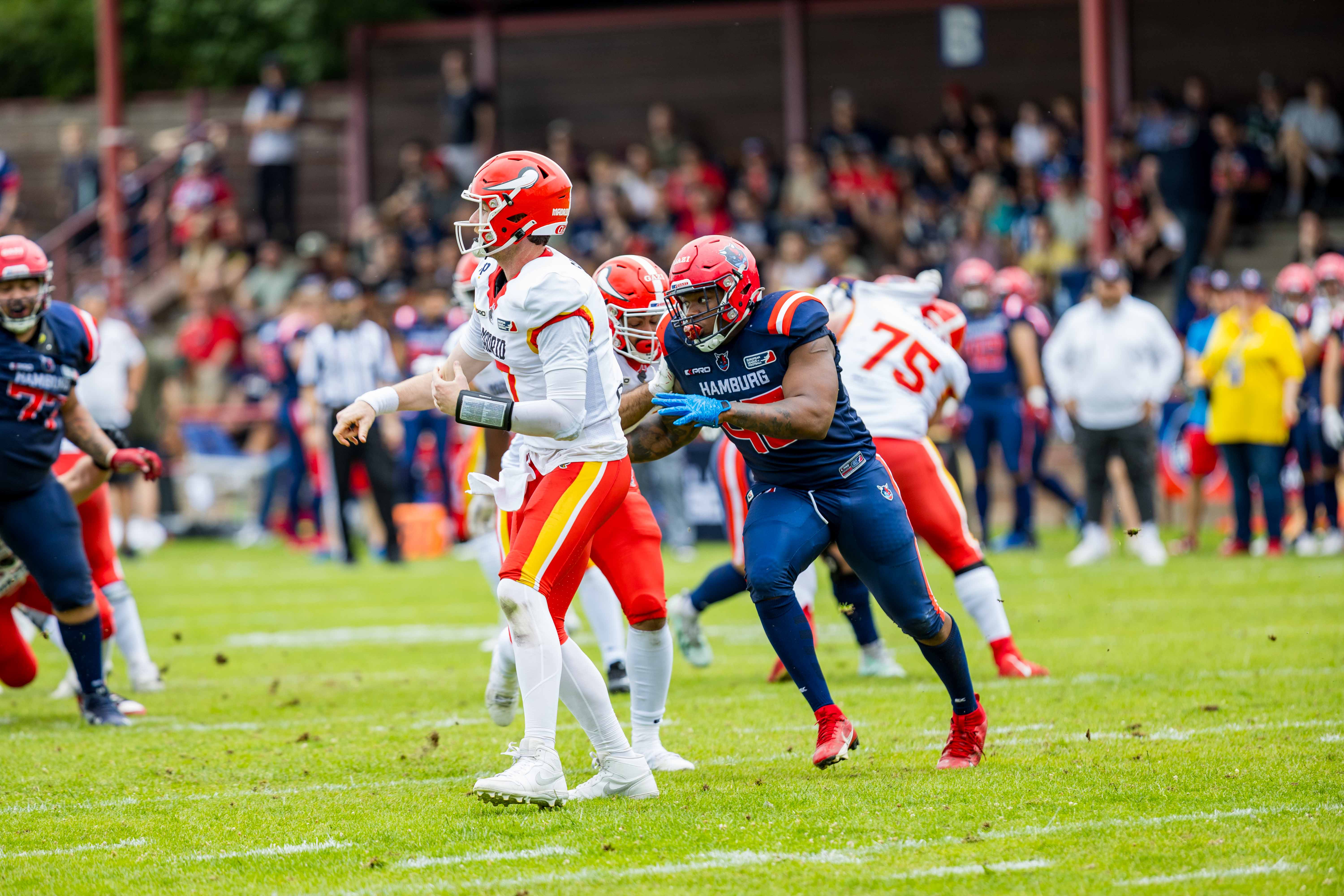 Madrid Bravos vs Hamburg Sea Devils