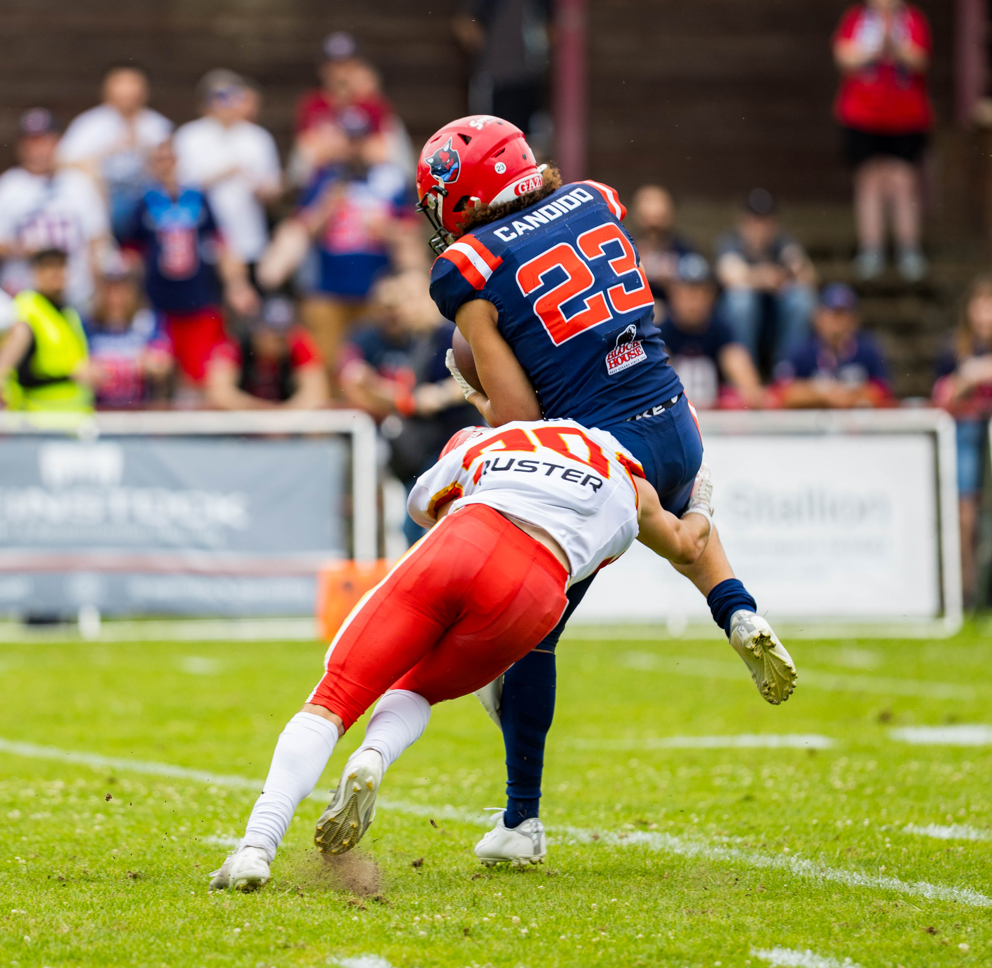Madrid Bravos vs Hamburg Sea Devils