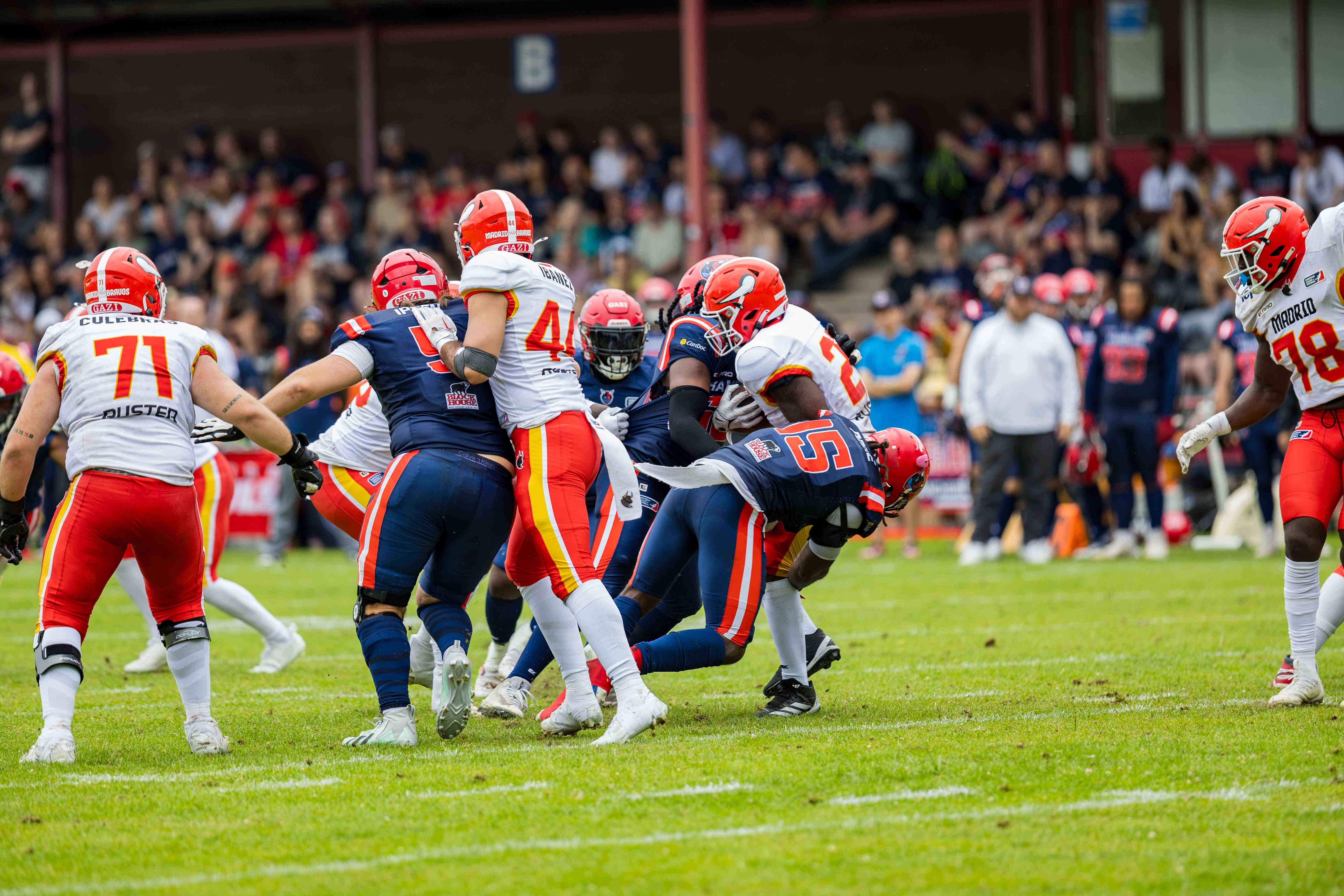 Madrid Bravos vs Hamburg Sea Devils