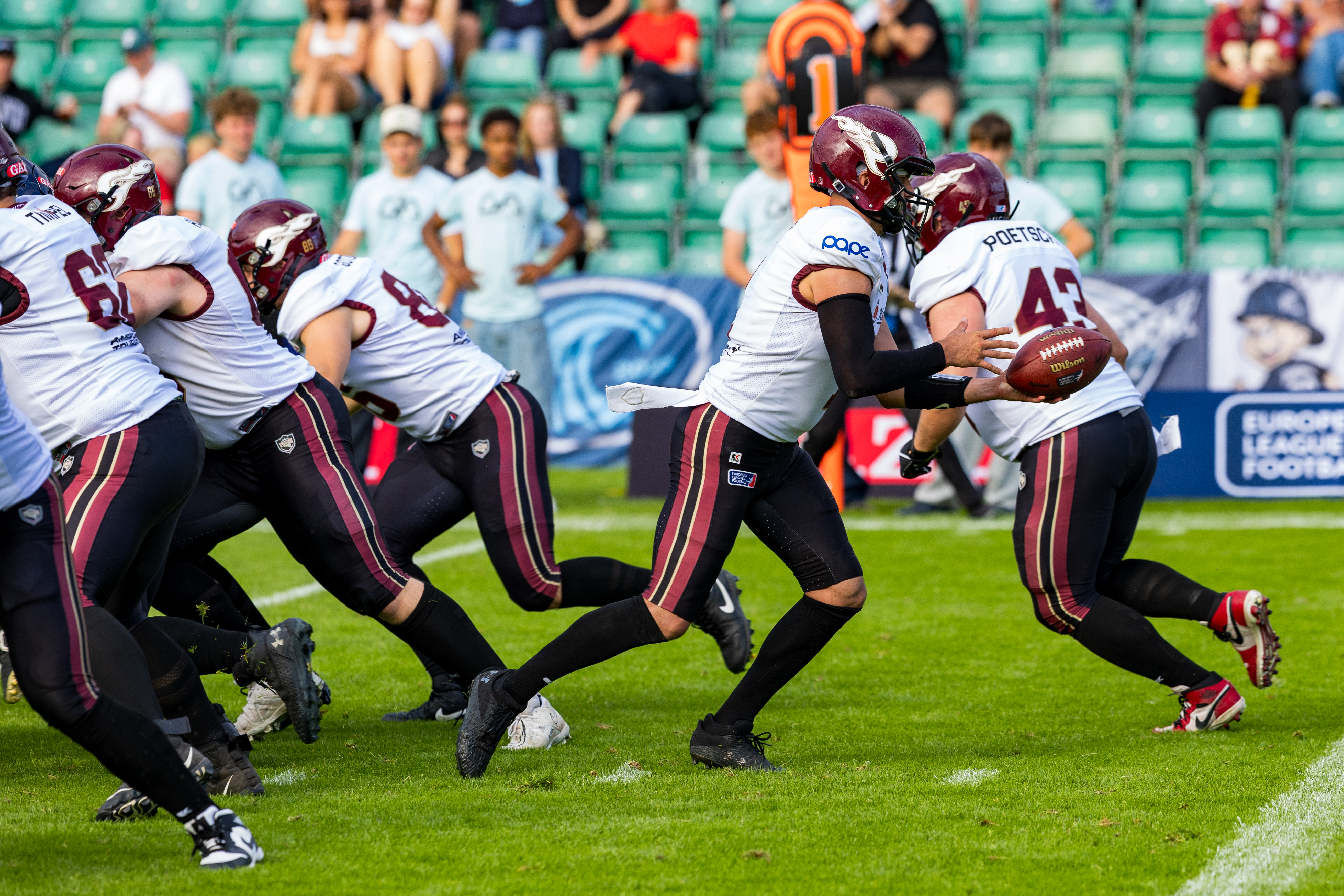 Week 9 Rhein Fire vs Nordic Storm