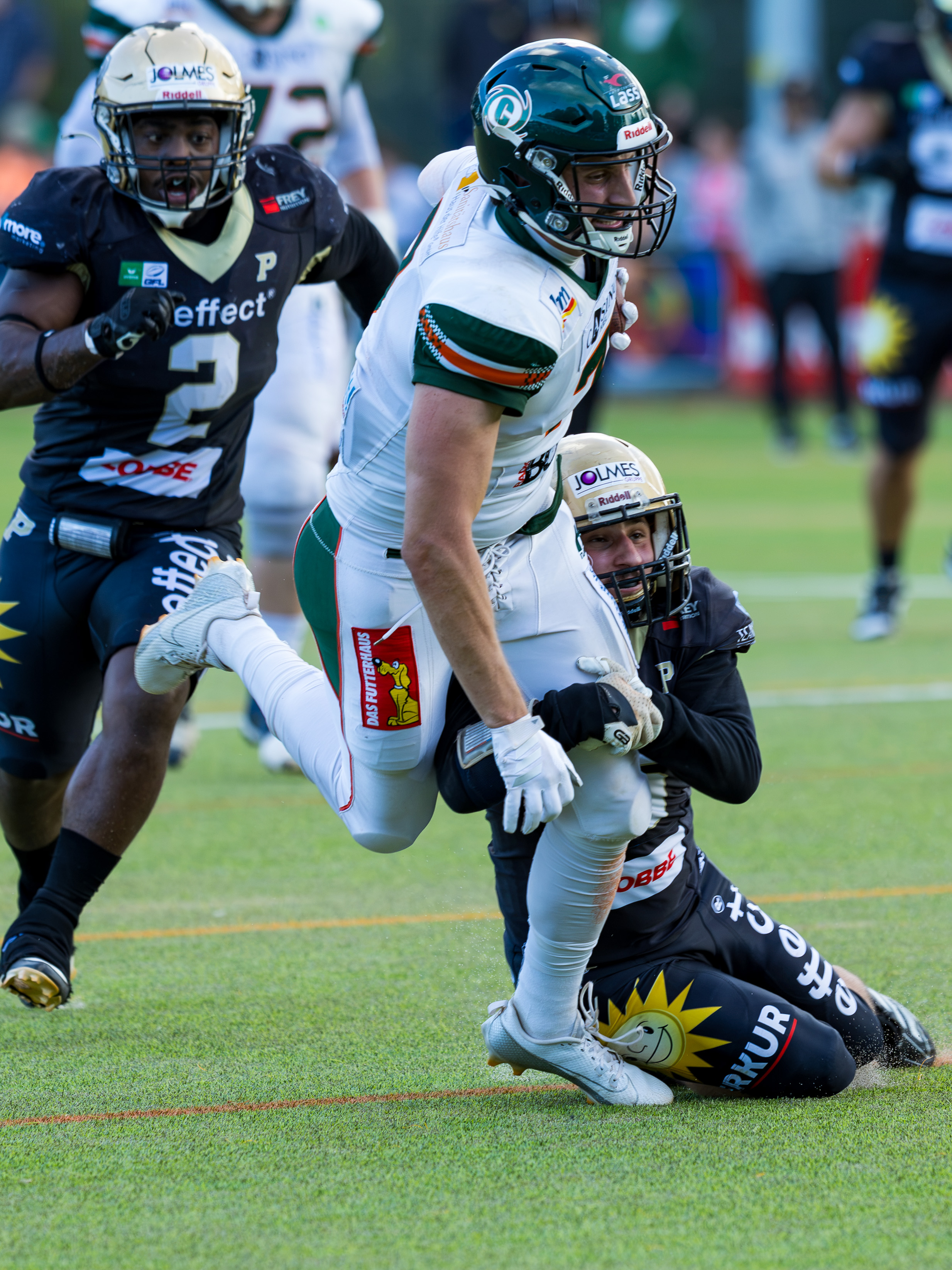 Kiel Baltic Hurricanes vs Paderborn Dolphins, American Football, German Football League, Week 18, 2025, 06.09.2025,