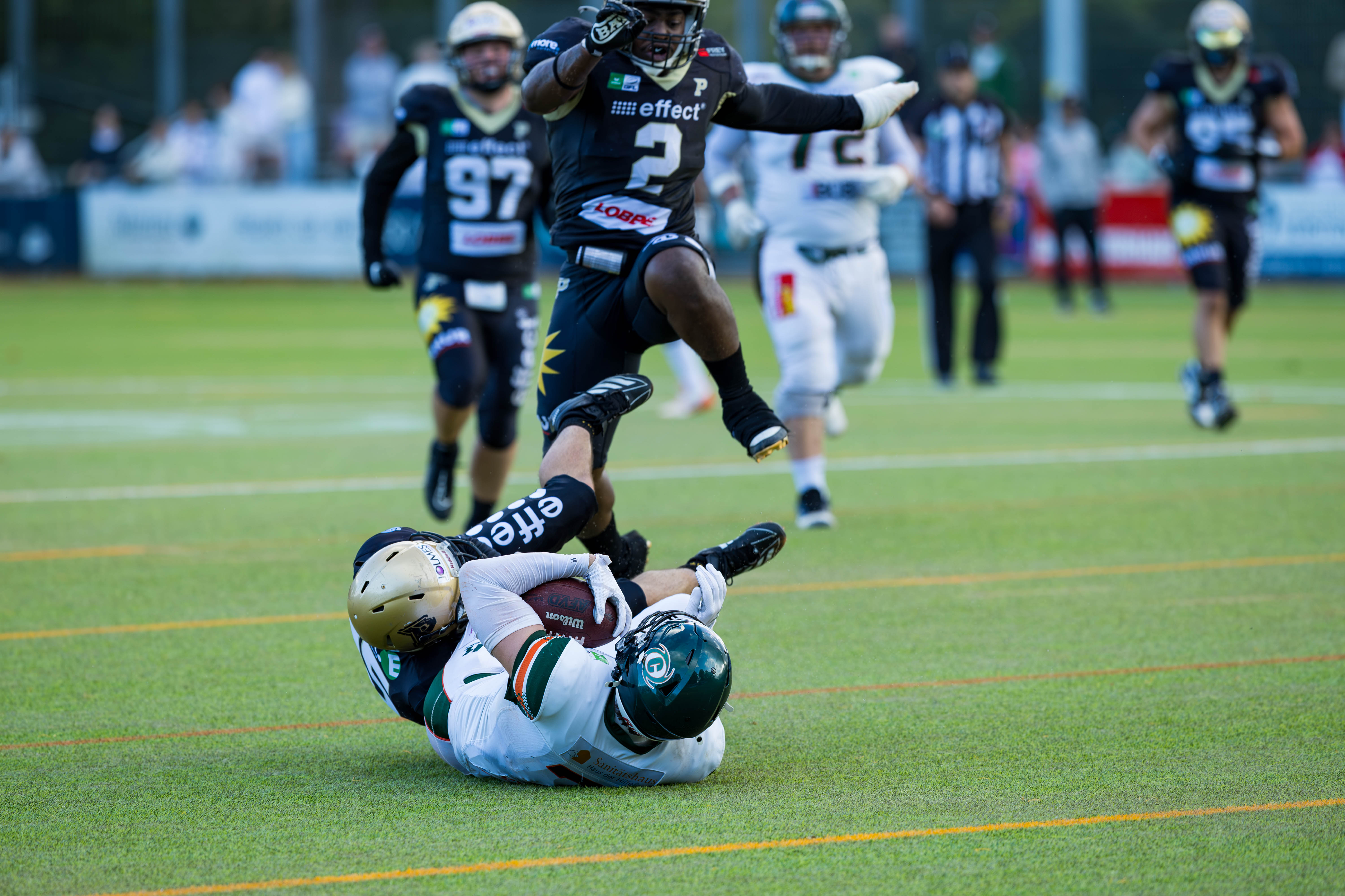 Kiel Baltic Hurricanes vs Paderborn Dolphins, American Football, German Football League, Week 18, 2025, 06.09.2025,