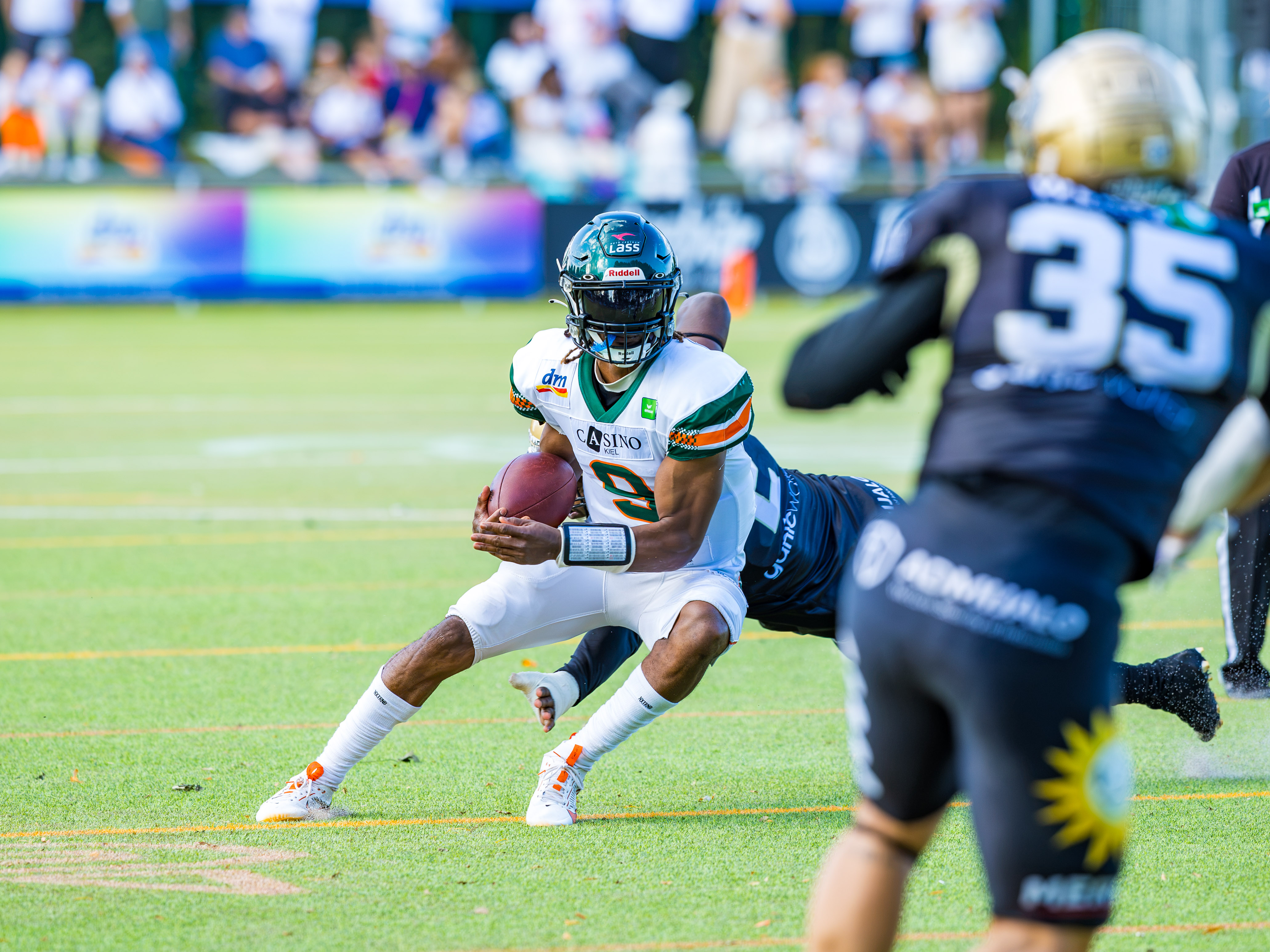 Kiel Baltic Hurricanes vs Paderborn Dolphins, American Football, German Football League, Week 18, 2025, 06.09.2025,
