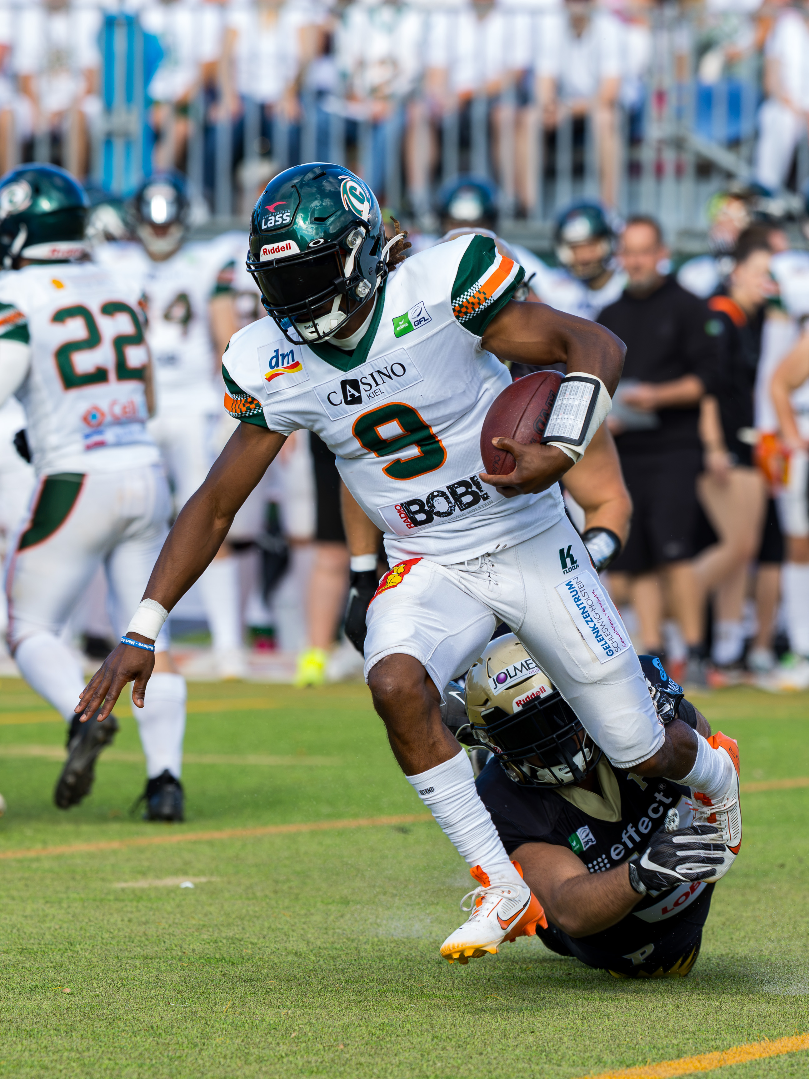 Kiel Baltic Hurricanes vs Paderborn Dolphins, American Football, German Football League, Week 18, 2025, 06.09.2025,