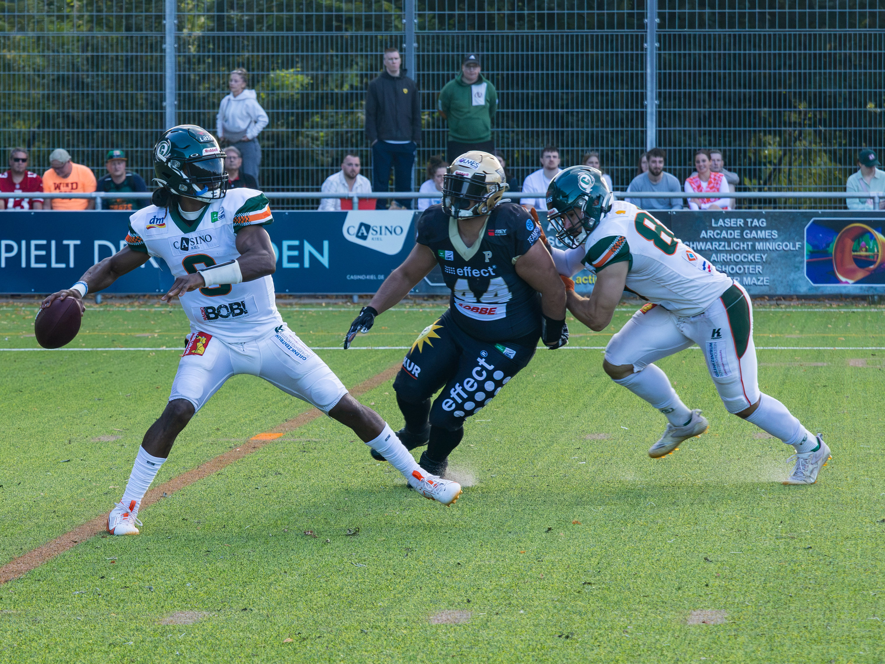 Kiel Baltic Hurricanes vs Paderborn Dolphins, American Football, German Football League, Week 18, 2025, 06.09.2025,
