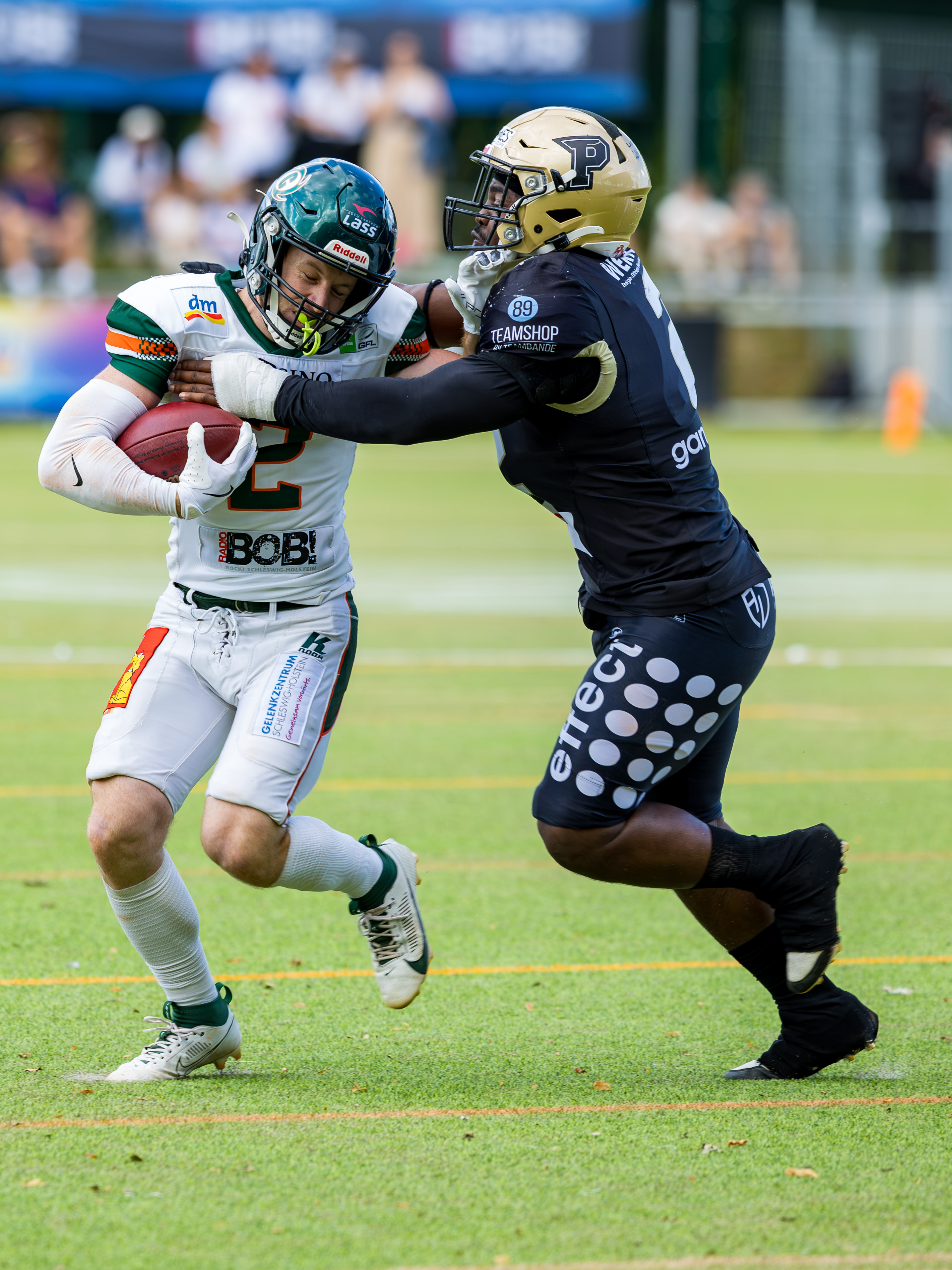 Kiel Baltic Hurricanes vs Paderborn Dolphins, American Football, German Football League, Week 18, 2025, 06.09.2025,
