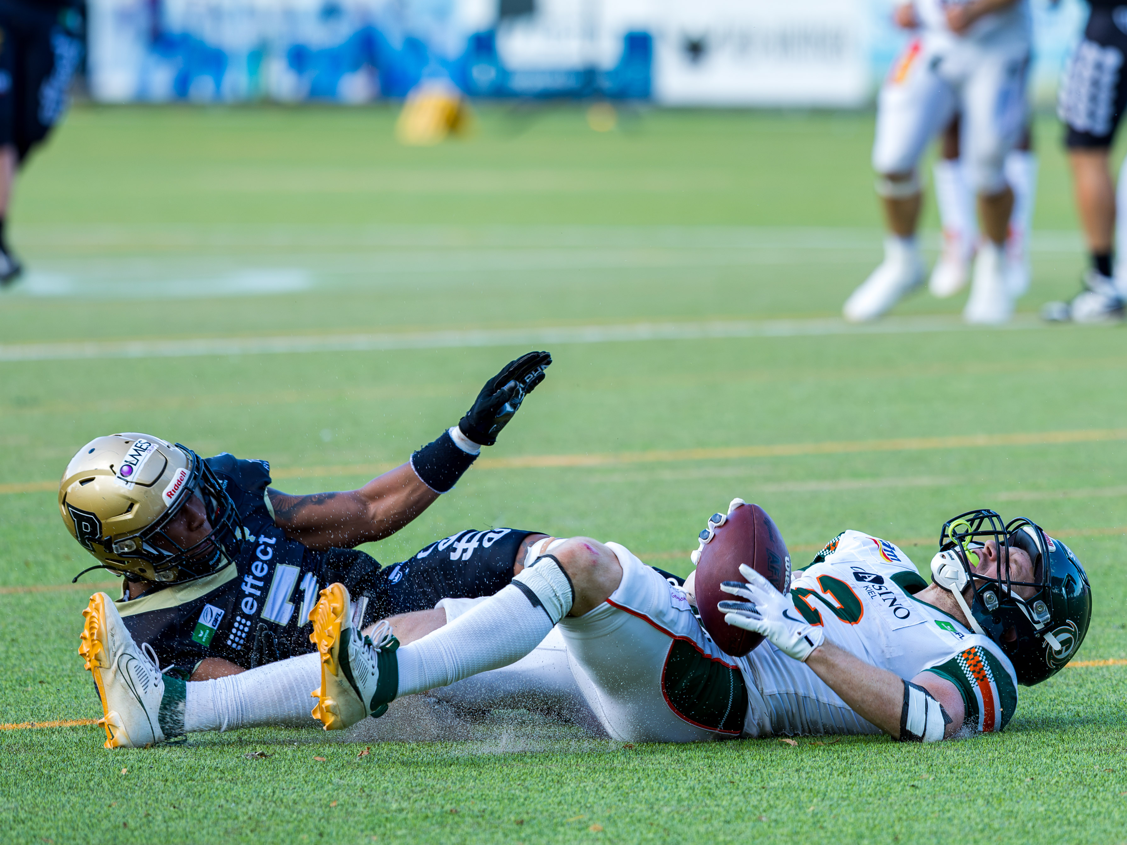 Kiel Baltic Hurricanes vs Paderborn Dolphins, American Football, German Football League, Week 18, 2025, 06.09.2025,