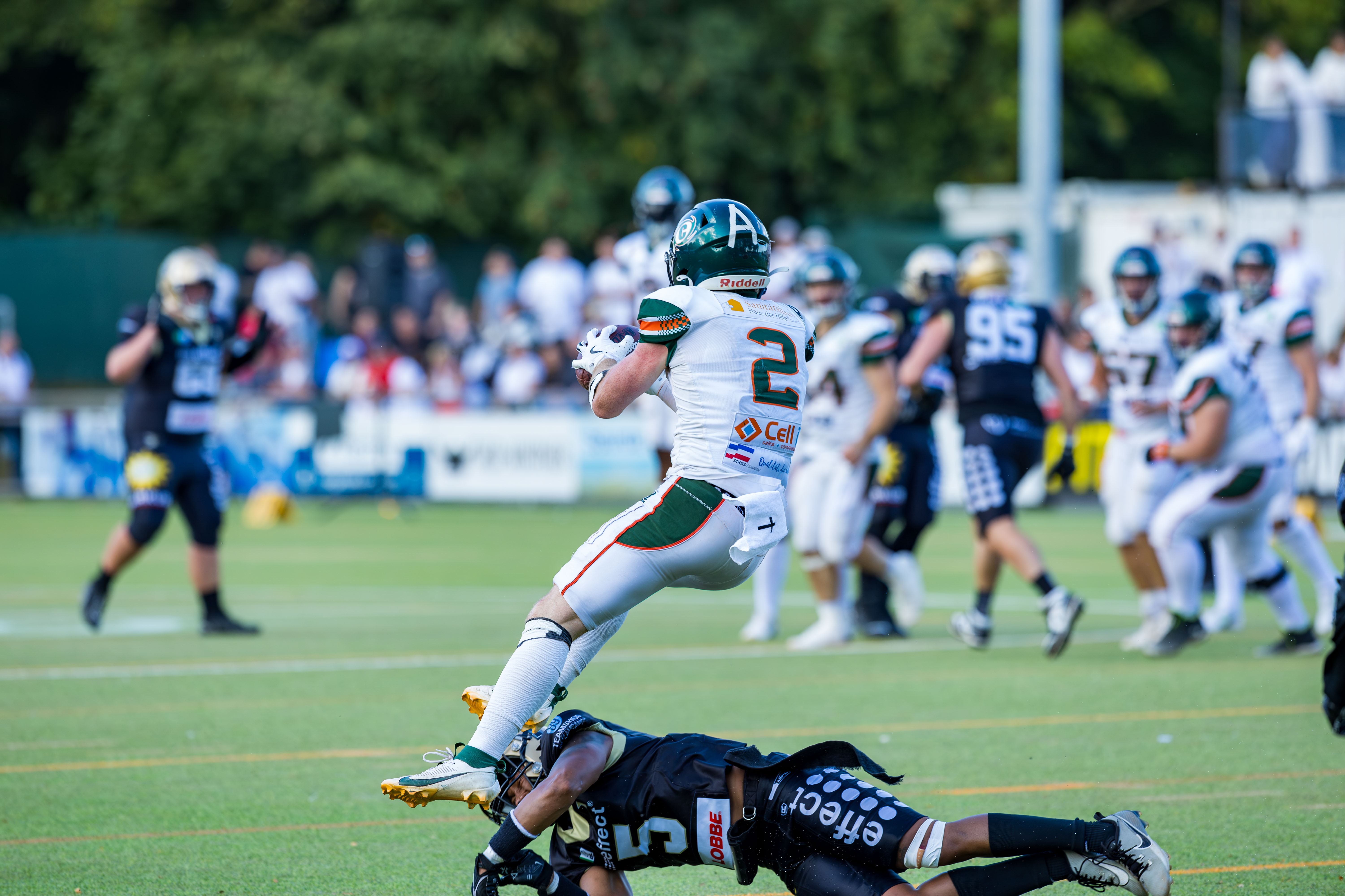 Kiel Baltic Hurricanes vs Paderborn Dolphins, American Football, German Football League, Week 18, 2025, 06.09.2025,