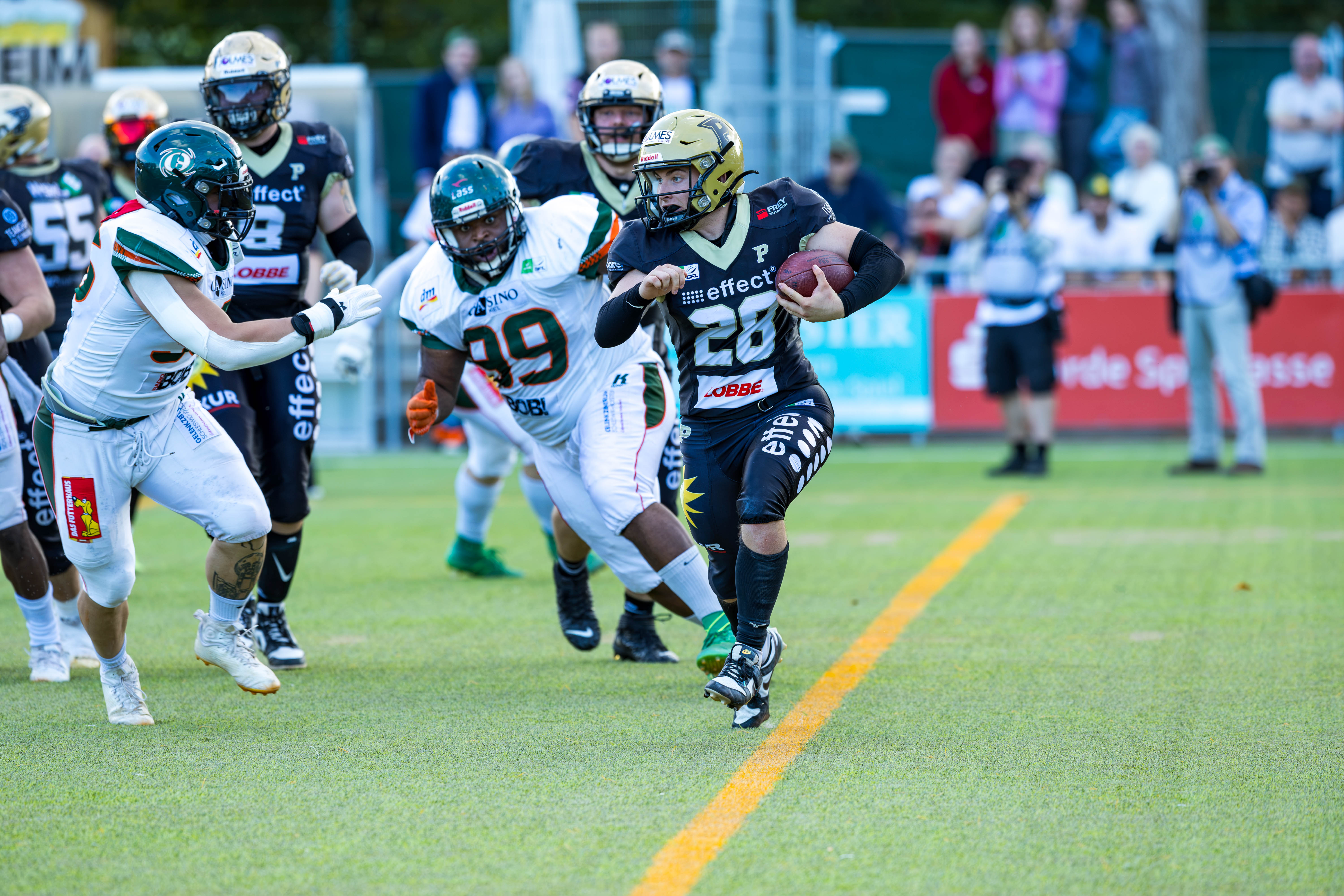 Kiel Baltic Hurricanes vs Paderborn Dolphins, American Football, German Football League, Week 18, 2025, 06.09.2025,