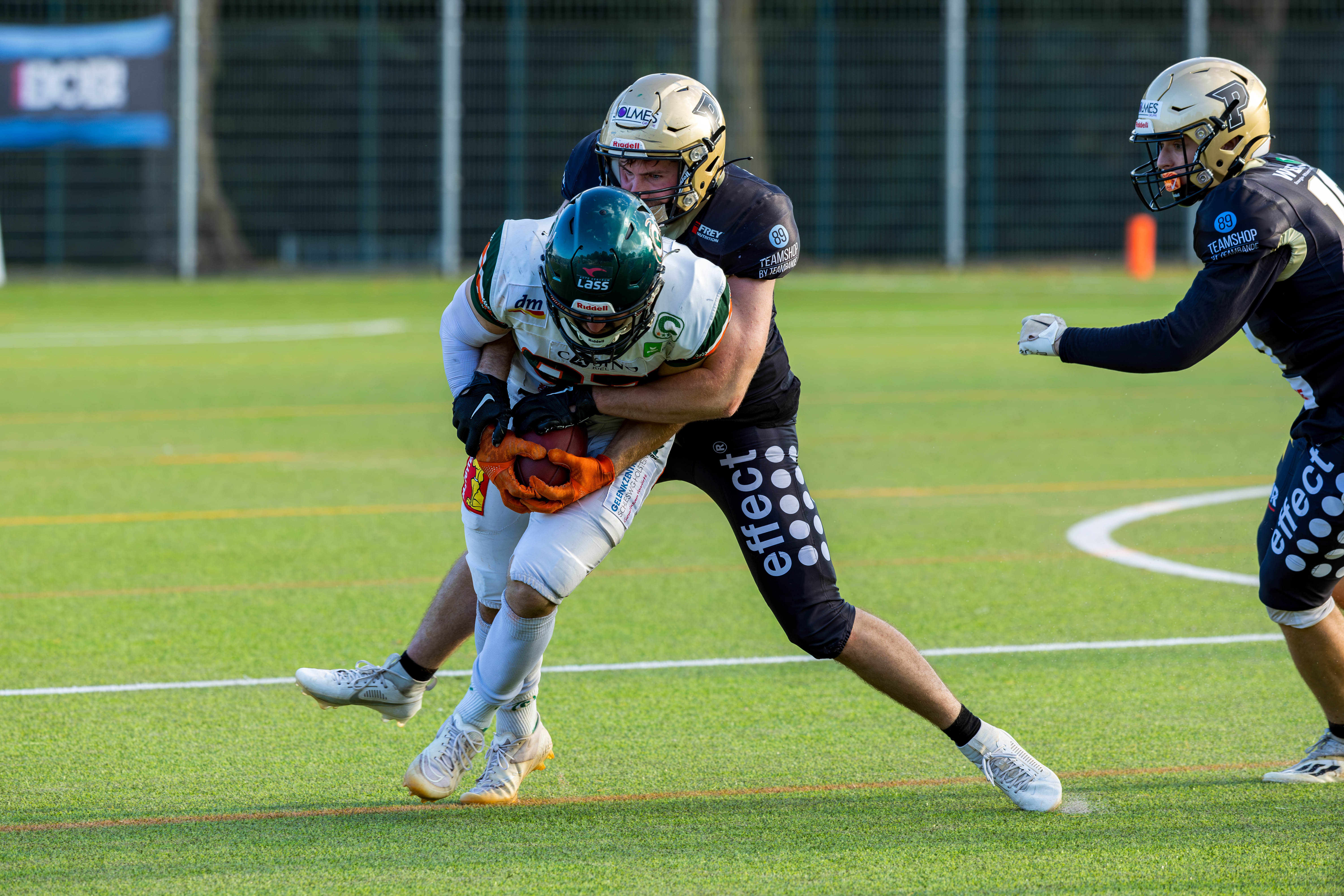 Kiel Baltic Hurricanes vs Paderborn Dolphins, American Football, German Football League, Week 18, 2025, 06.09.2025,