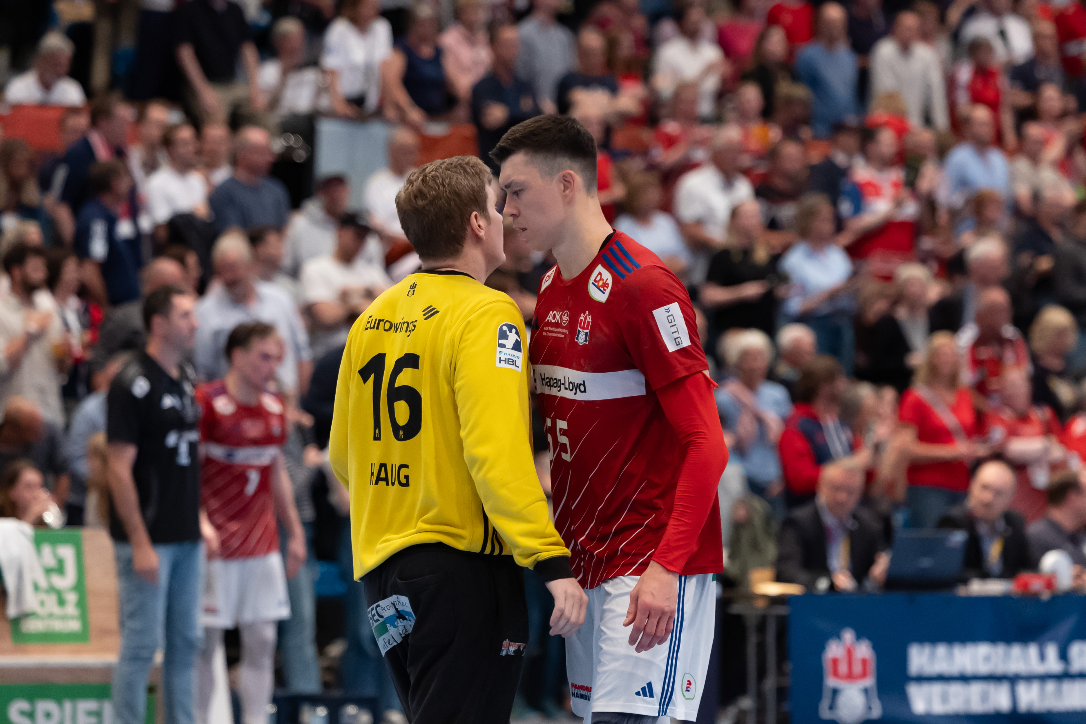 Handball Sport Verein Hamburg vs MT Melsungen
