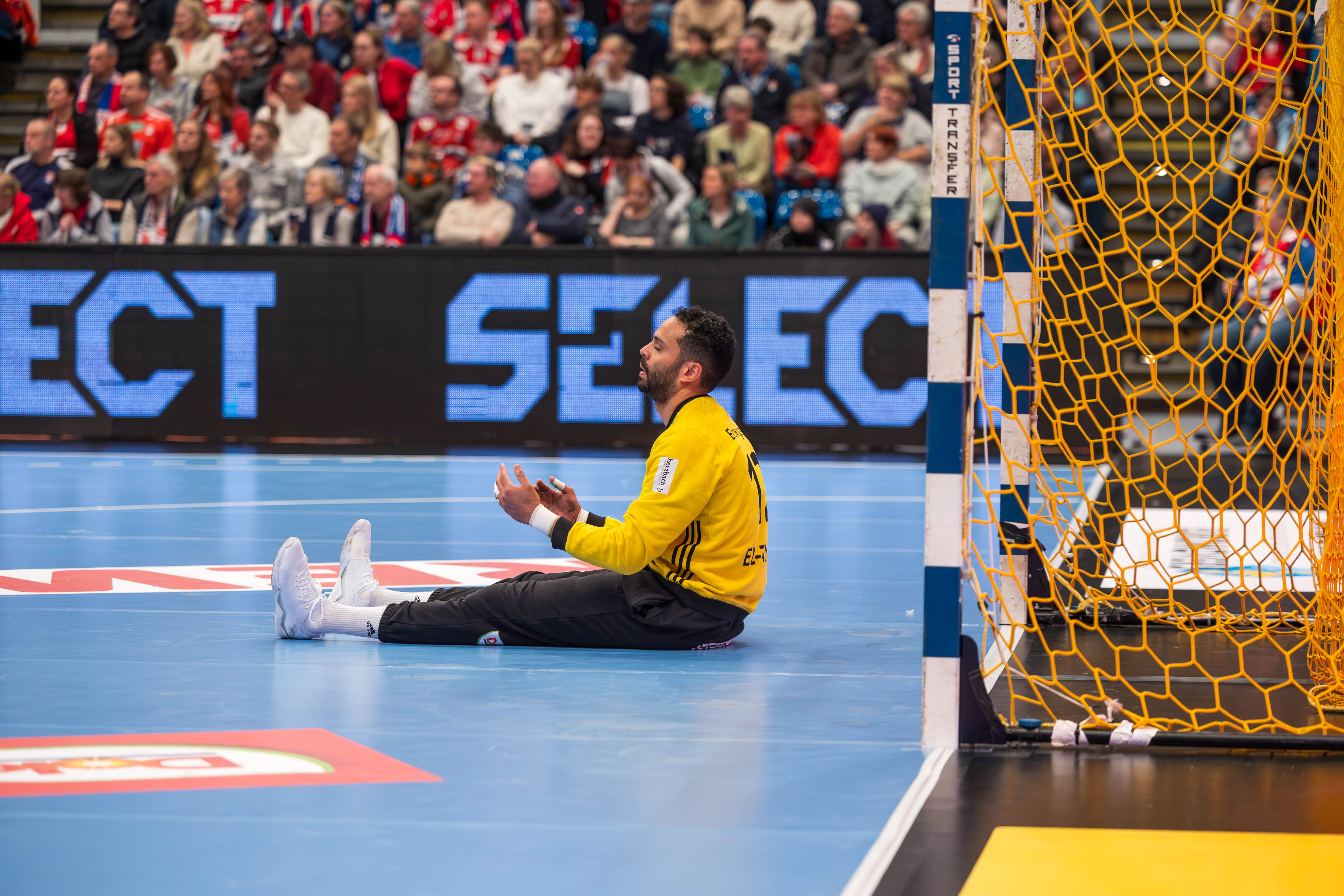 Handball Sport Verein Hamburg vs SG BBM Bietigheim